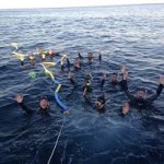 swim1